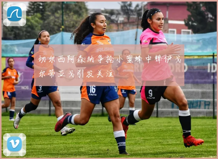 切尔西阿森纳争抢小蜜蜂中锋伊戈尔蒂亚戈引发关注