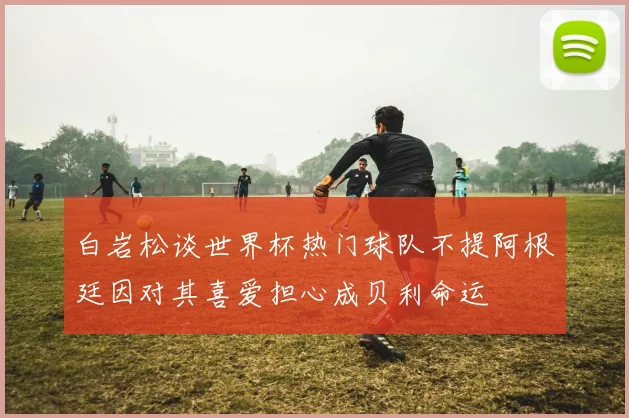 白岩松谈世界杯热门球队不提阿根廷因对其喜爱担心成贝利命运