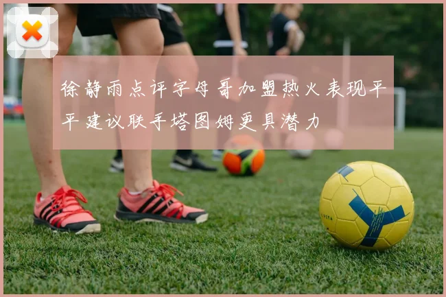 徐静雨点评字母哥加盟热火表现平平建议联手塔图姆更具潜力