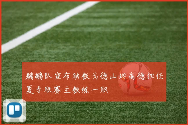 鹈鹕队宣布助教戈德山姆高德担任夏季联赛主教练一职